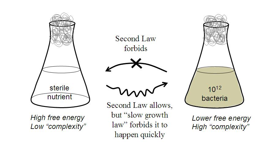 FLASKS